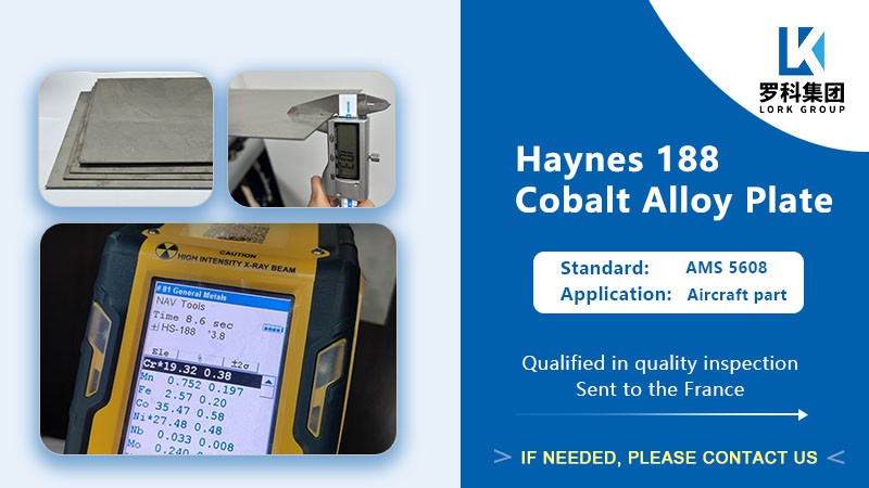 Lork Group Case Center-Haynes 188 plate Lork Group Case Center-Haynes 188 plate